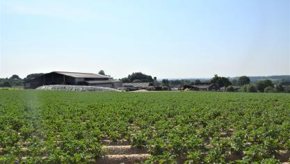 DSC_2927 (2)