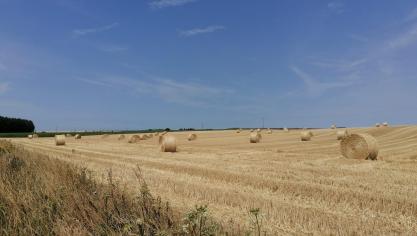 Door slinkende marges kunnen de Franse landbouw en voedingsindustrie minder investeren en daardoor verliest het land terrein op de exportmarkten.