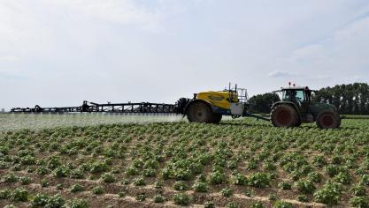 De Europese Unie verbiedt het op de markt brengen van bepaalde pesticiden, maar productie en export blijven mogelijk.
