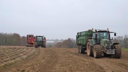 In 2023 moet in veel gevallen niet aan de teeltrotatie worden voldaan. De verplichte aardappelrotatie blijft in 2023 wel van toepassing.