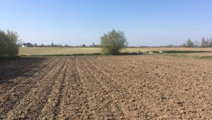Op basis van een uitgebreid, internationaal literatuuronderzoek beschrijft Schreefel regeneratieve landbouw als een vorm van landbouw waarbij bodembescherming het uitgangspunt is.