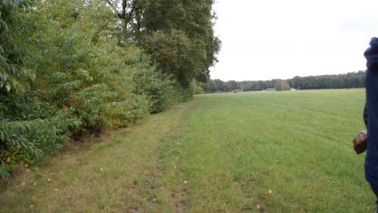 In de Koolstoftool is ook een berekening mogelijk van de koolstofopslag in de houtige elementen, zeg maar geïsoleerde bomen of bomenrijen of houtkanten en/of hagen, en dit zowel op percelen als aan de rand van percelen.