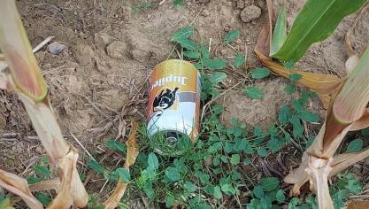 Sinds de invoering van statiegeld op kleine flesjes, is het aantal plastic flessen in het Nederlandse zwerfafval al met meer dan 50% afgenomen. De verwachting is dat de impact van statiegeld op blik ook groot zal zijn.