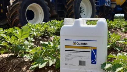 Dit jaar lanceert Syngenta 2 nieuwe biostimulanten: Quantis en Vixeran.
