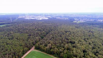 Momenteel zijn de 7 kandidaten Landschapsparken en 6 kandidaten Nationale Parken in begeleiding voor de opmaak van een masterplan.