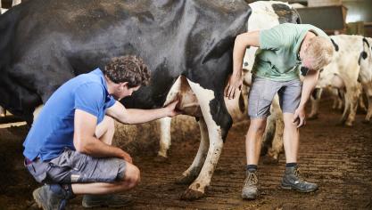 Een groot deel van de melkveehouders heeft interesse in het aanwerven van (deeltijdse) werknemers.