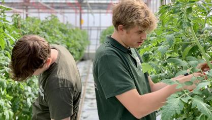 Leerlingen uit de tweede graad krijgen bij de Broederschool Biotechnische & Sport de kans om kennis te maken met verschillende aspecten van onder andere de tuinbouwsector, zoals in deze serre.