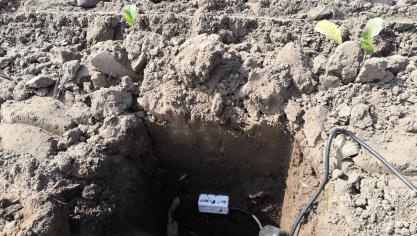 Weergave van de installatiediepte van een bodemvochtsensor in de bodem.