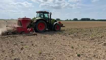 Hennep is een extra teelt en is klimaatbestendig.