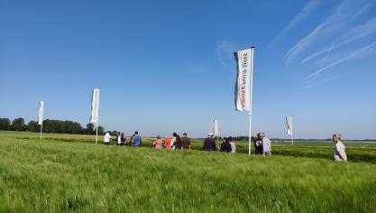 Het zaadbedrijf Jorion Philip-Seeds laat tijdens het proefveldbezoek weer heel wat toppers zien in wintergranen.