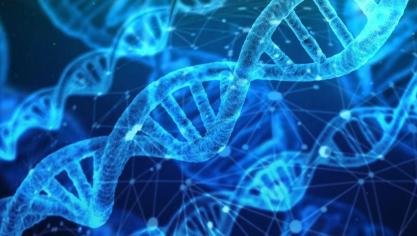 De huidige ggo-regels regels zoudenniet meer van toepassing zijn op technieken als Crispr/Cas9 indien de resulterende soorten ook konden ontstaan door processen als natuurlijke selectie of kruiskweek.