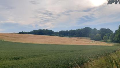 De projecten moeten bijdragen tot het ontwikkelen van leefbare, rendabele landbouwpraktijken die ook de natuur in het landbouwgebied ten goede komen.