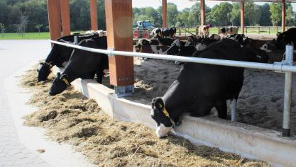 Tegenover harde verplichtingen stonden steeds meer goede intenties, maar van intenties kan een boer niet leven, zegt LTO Nederland.