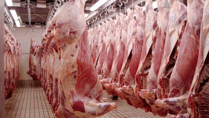 Vorig jaar werden minder varkens en runderen geslacht.