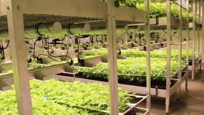 Via projectsteun kunnen land- en tuinbouwbedrijven op steun rekenen om innovatieve ideeën en concepten op het vlak van productie, verwerking en afzet van landbouwproducten in de praktijk te realiseren. De