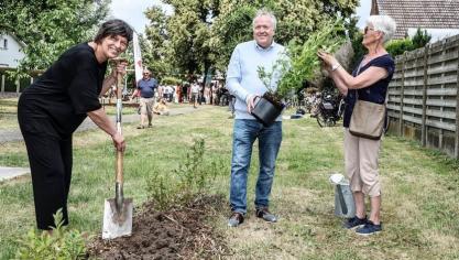 Gedeputeerde Kathleen Helsen plant nog een blauwebessenstruik samen met schepen Johan Verhaegen van Grobbendonk en vrijwilligster Paula Corthout (rechts).