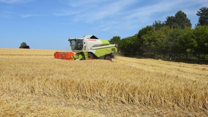 In 2023 wordt er meer graan en aardappelen geteeld.