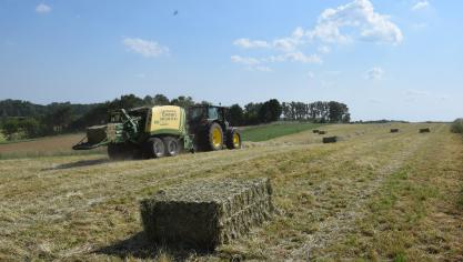 Het Departement Landbouw en Visserij start een participatief traject op om te komen tot een Landbouw Adaptatie-Actieprogramma 2030.