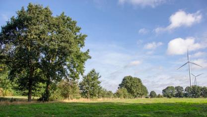 De VLM is verantwoordelijk voor de uitvoering van het Houtkantenplan, samen met verschillende overheidspartners en middenveldorganisaties. Ook landbouwers, privé-eigenaars, lokale besturen en allerhande organisaties en verenigingen kunnen eraan meewerken.