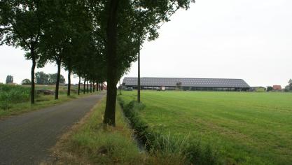 Uit voorlopige cijfers blijkt dat de groei van de agrohandel zich in de eerste 3 maanden van 2023 doorzet.