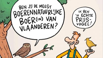 De winnaar van de eerste Koperen Kievit wordt aangeduid via een poll op Facebook.