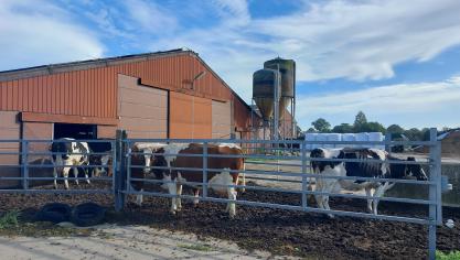 De Raad van State is bijzonder scherp voor het ingediende stikstofdecreet.