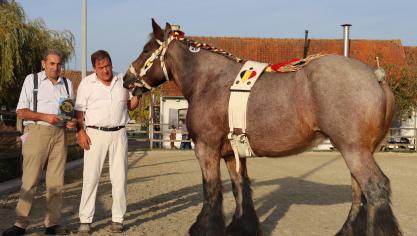 Dagkampioene Diksmuide 2023, Heike van de  Klaverhoeve,  met haar eigenaar Jules Lateur en  Ludo Musschoot.