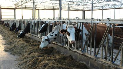 Alle gegevens van de vernieuwde Duurzaamheidsmonitor zijn overzichtelijk beschikbaar in de nieuwe applicatie DigiMilk.
