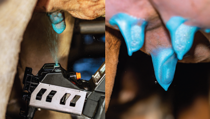 DeLaval brengt 3 nieuwe, op glycolzuur gebaseerde speendesinfectiemiddelen op de markt.