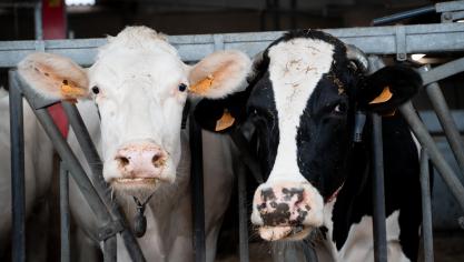 De regering zal een wetenschappelijke studie bestellen naar de mogelijkheid om vanaf 2030 op een andere manier naar de problematiek te kijken.