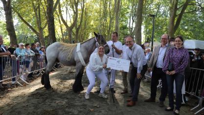 De familie Jansen bij de internationale veulenkampioen Rudolf van de Grens, die hiervoor vanuit Sint-Pieters-Leeuw een cheque van 1.000 euro overhandigd kreeg.