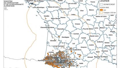 Verspreidingsgebied van de EHD in Frankrijk. De oranje lijn is de grens van de beschermingszone.
