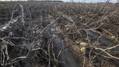 Zal men bij het evalueren van bodem- en waterstalen lang genoeg rekening houden met de uitzonderlijke toestand van dit najaar?