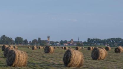 Momenteel wordt de vraag naar vlas niet volledig beantwoord.