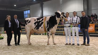 Algemeen Kampioene en kampioene volwassen koeien: Maxima de Bois Seigneur van de familie Pussemier, met links de jury.
