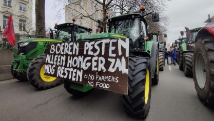 De Raad van State wil zich niet in een spoedadvies uitspreken over het nieuwe stikstofamendement van de Vlaamse regering.