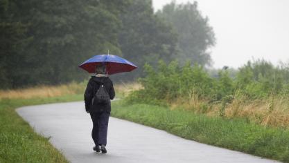 Het aanhoudende regenweer van de laatste weken heeft geleid tot uitzonderlijk hoge grondwaterstanden.