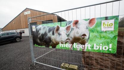 De groei van biologische landbouw in België vertraagde naar 1% in 2022.