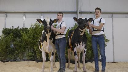 De Jongveeshow die zaterdag zougeorganiseerd worden op Agro-Expo Vlaanderen in Roeselare is geschrapt