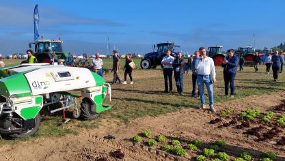 Bij de geselecteerde projecten VLIF innovatie zit onder meereen project rond robotisering in de groenteteelt.