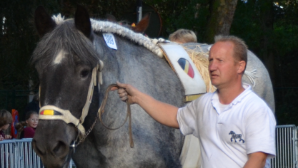 Didier Van Hoorebeke, drijvende kracht achter De Vrienden van de Oost-Vlaamse Trekpaardfokkers, kan terugblikken op een geslaagde veulenprijskamp op 4 februari laatstleden.