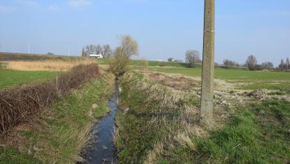 Een nieuw rapport van de Vlaamse Milieumaatschappij over de verslechterde waterkwaliteit lijkt de beloofde versoepeling van het mestbeleid mogelijk in gevaar te brengen.