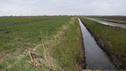 De landbouwsector is niet de hoofdverantwoordelijke van de verslechtering van de waterkwaliteit in de waterlopen en het grondwater, zeggen landbouworganisaties Boerenbond en ABS.