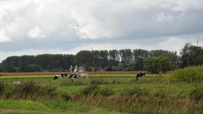 Volgens de afspraken van het landbouwakkoord zal de Vlaamse overheid tot 1 oktober terughoudend zijn wat gewijzigde bestemmingen van landbouwgrond aangaat.