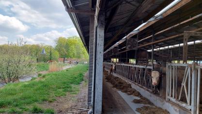 De schadelijke invloed van boerderijen op nabijgelegen natuur is moeilijk meetbaar  én overroepen, vindt Henri Donné.