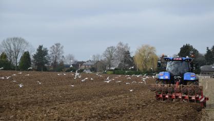 Februari 2024 was warmste februarimaand ooit gemeten