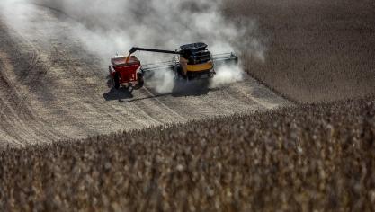 Dankzij de goede oogst in Argentinië bereikt de Zuid-Amerikaanse sojaproductie een record.