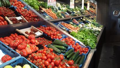 Een EU-ban op plastic verpakkingen zou volgens VLAM tot meer voedselverlies lijden. Sommige groenten en fruit blijven namelijk langer vers als ze verpakt zijn, of zijn te fragiel om in bulk te verkopen.