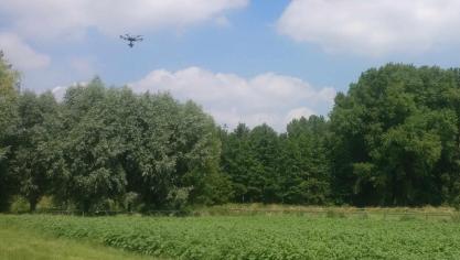 De combinatie van drones en kunstmatige intelligentie lijkt volgens UGent een veelbelovend instrument te zijn in het arsenaal van de moderne boer.