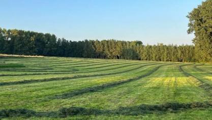 Een lezer van Landbouwleven dient bezwaar integen het natuurbeheerplan Beverbeekvallei, Kabbeekvallei en Duivenbos.